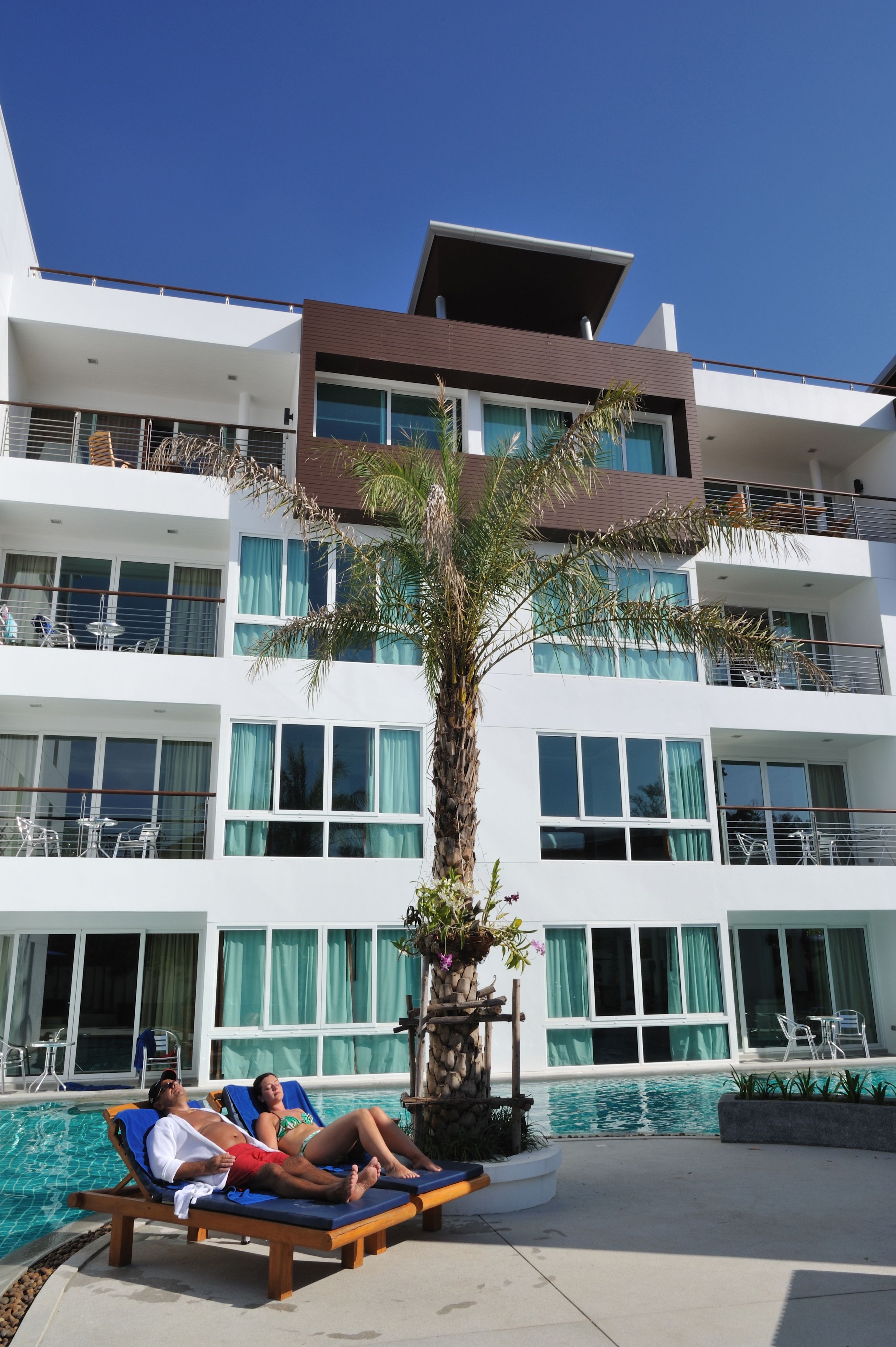 A modern hotel with a pool area, lounge chairs, and a palm tree.