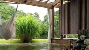 A wooden deck with a pool, a hanging hammock, and a large green plant. - Takanosu Onsen Takanosukan (Sekikawa)