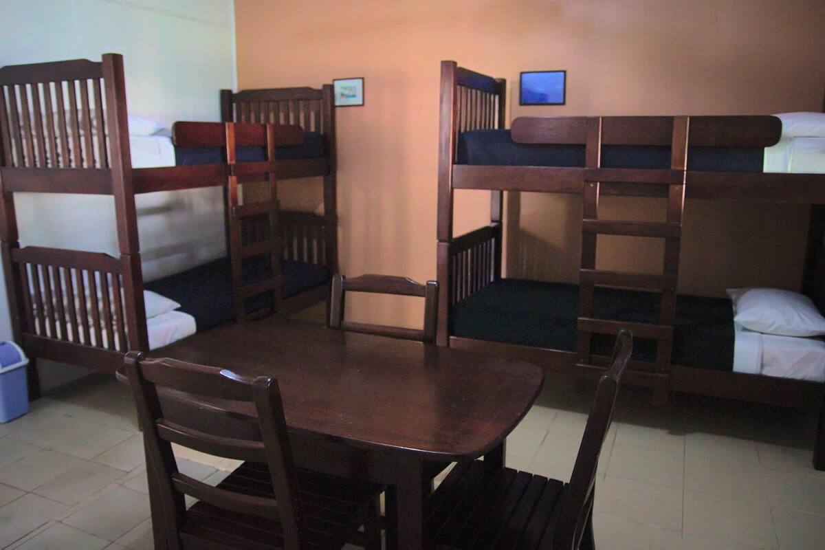 A dormitory room with bunk beds, a wooden table, and chairs.