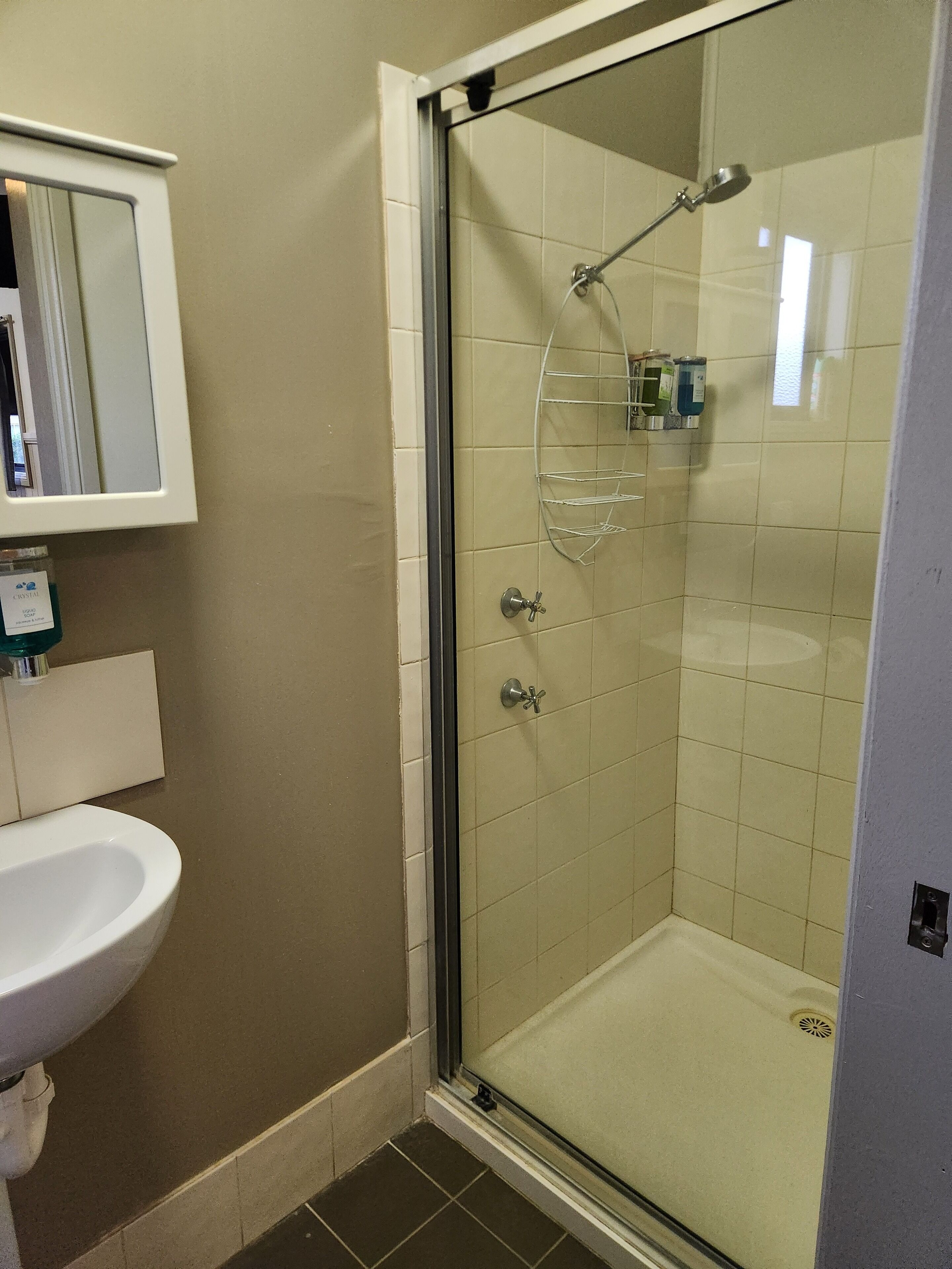 Un baño con cabina de ducha de vidrio, un lavabo blanco y un espejo sobre el lavabo.