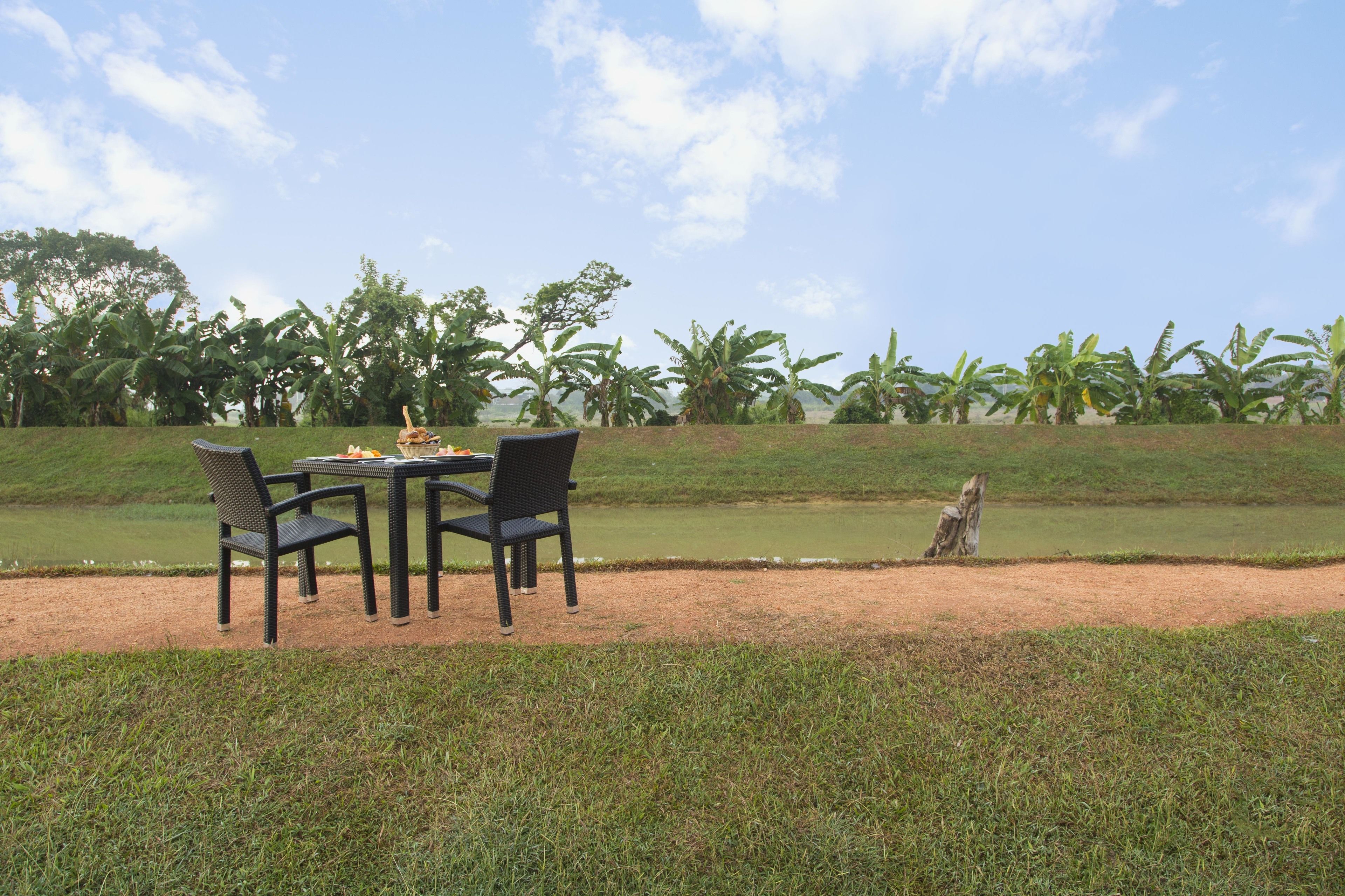 Un espace extérieur aménagé pour les repas, avec une table et des chaises, entouré d’un champ d’herbe et de bananiers.