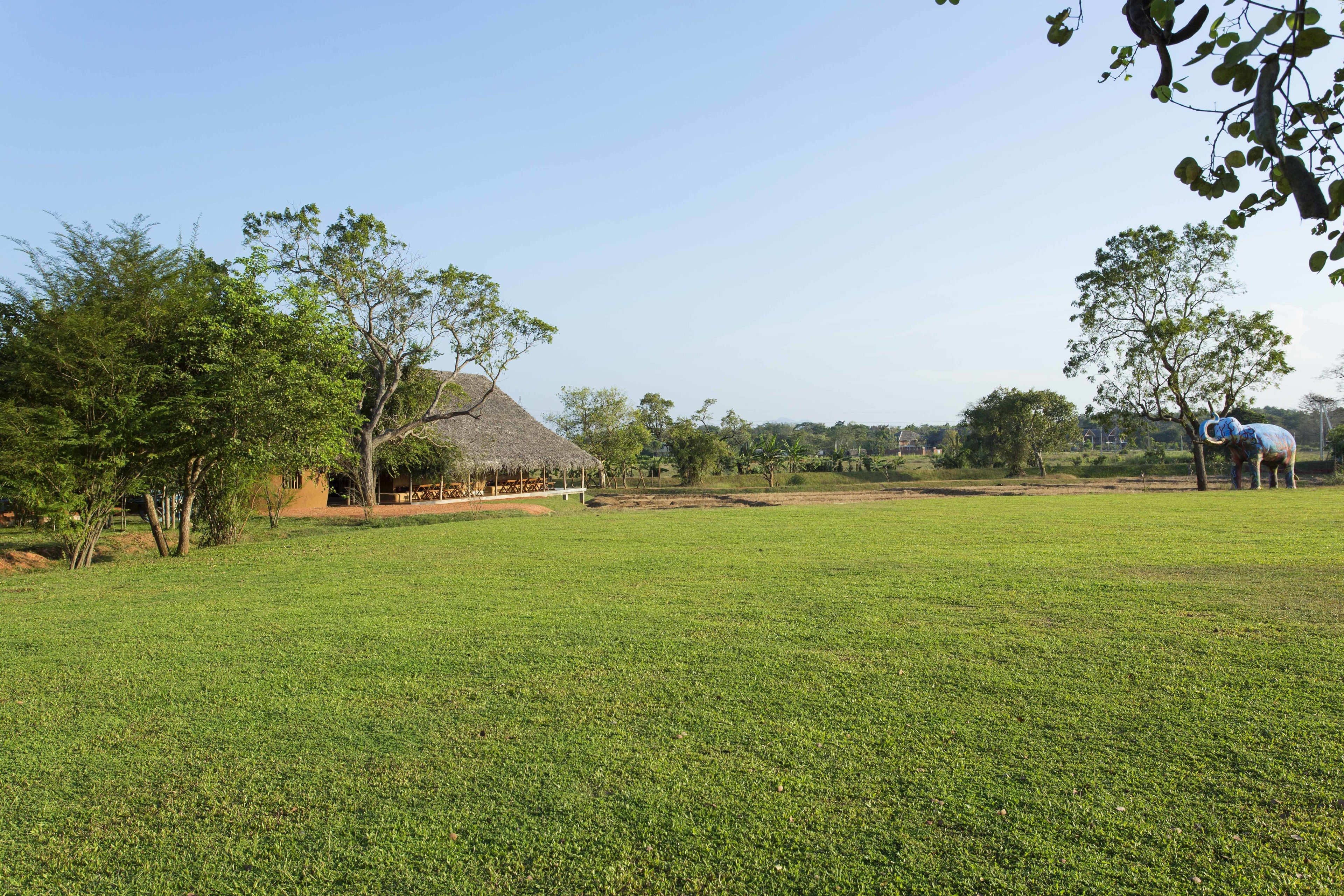 A grassy field with a thatched-roof building and trees.
