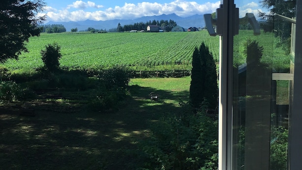Vista desde una ventana que da a un campo verde con un banco de madera y una mesa, y una cadena montañosa al fondo.