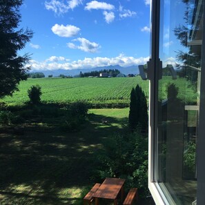 A view from a window overlooking a green field with a wooden bench and a table, and a mountain range in the distance. - Obihiro Yachiyo Youth Hostel (Obihiro)