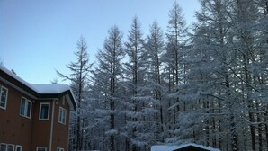 Un barrio residencial con una casa de dos pisos y una cabaña pequeña, rodeado de árboles cubiertos de nieve.