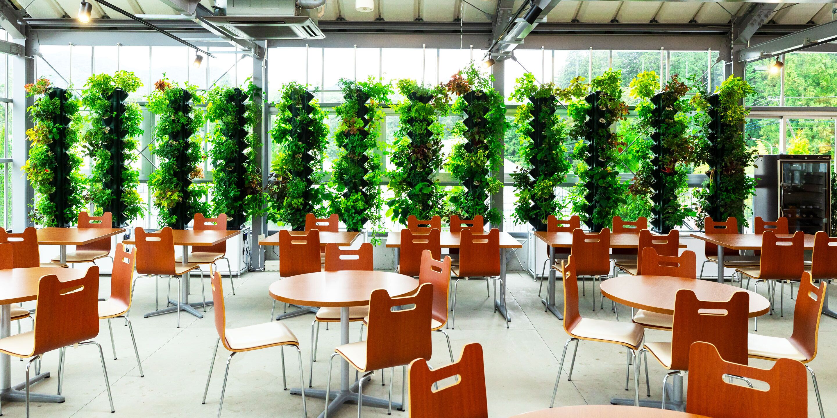 A dining area with round tables and chairs, surrounded by vertical gardens.