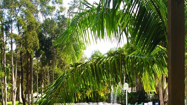 Unclassified image, 1 of 33, button - Smugglers Cove Holiday Village (Forster)