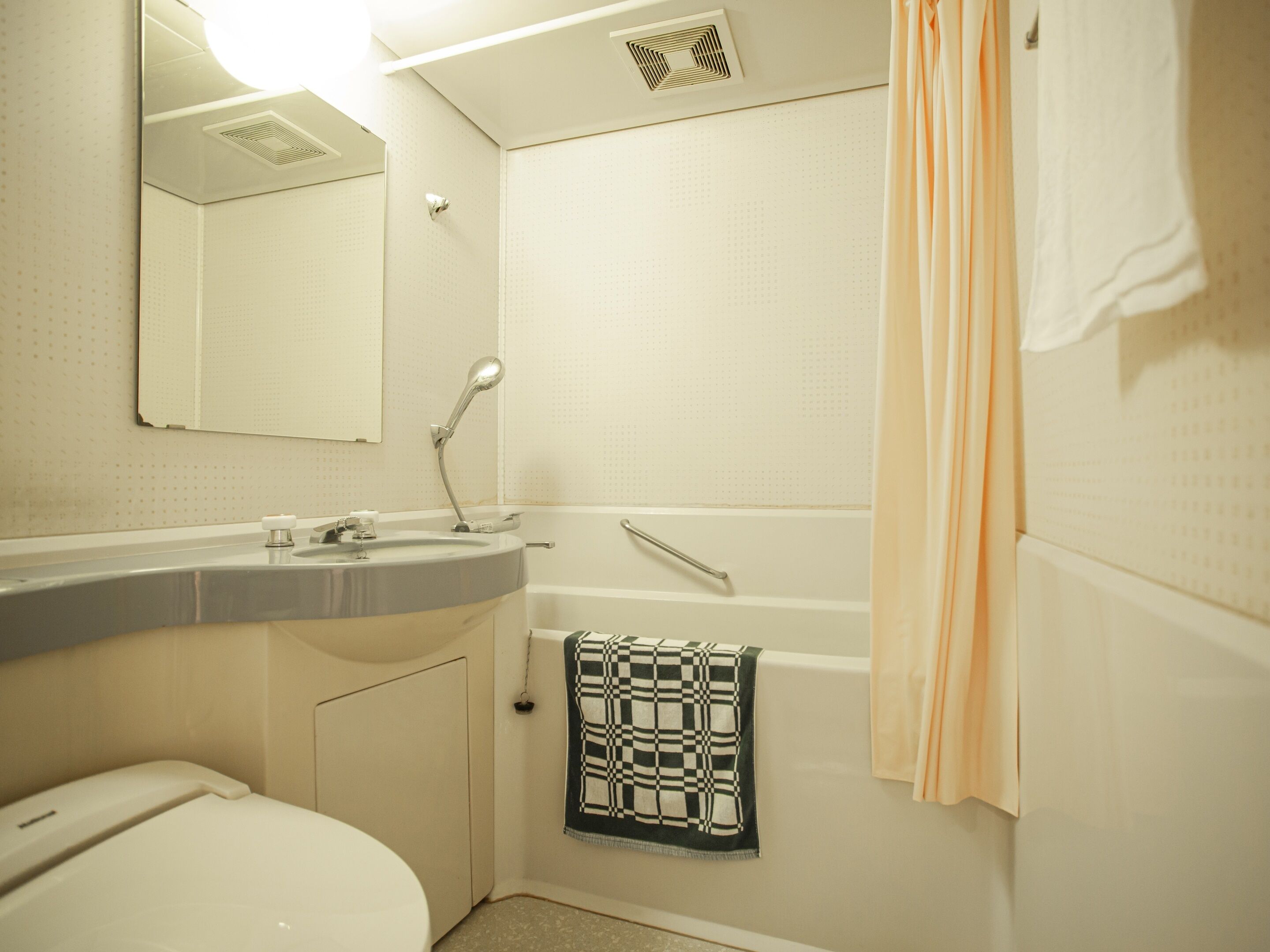 Un baño con inodoro, lavabo, espejo, ducha y toallero.