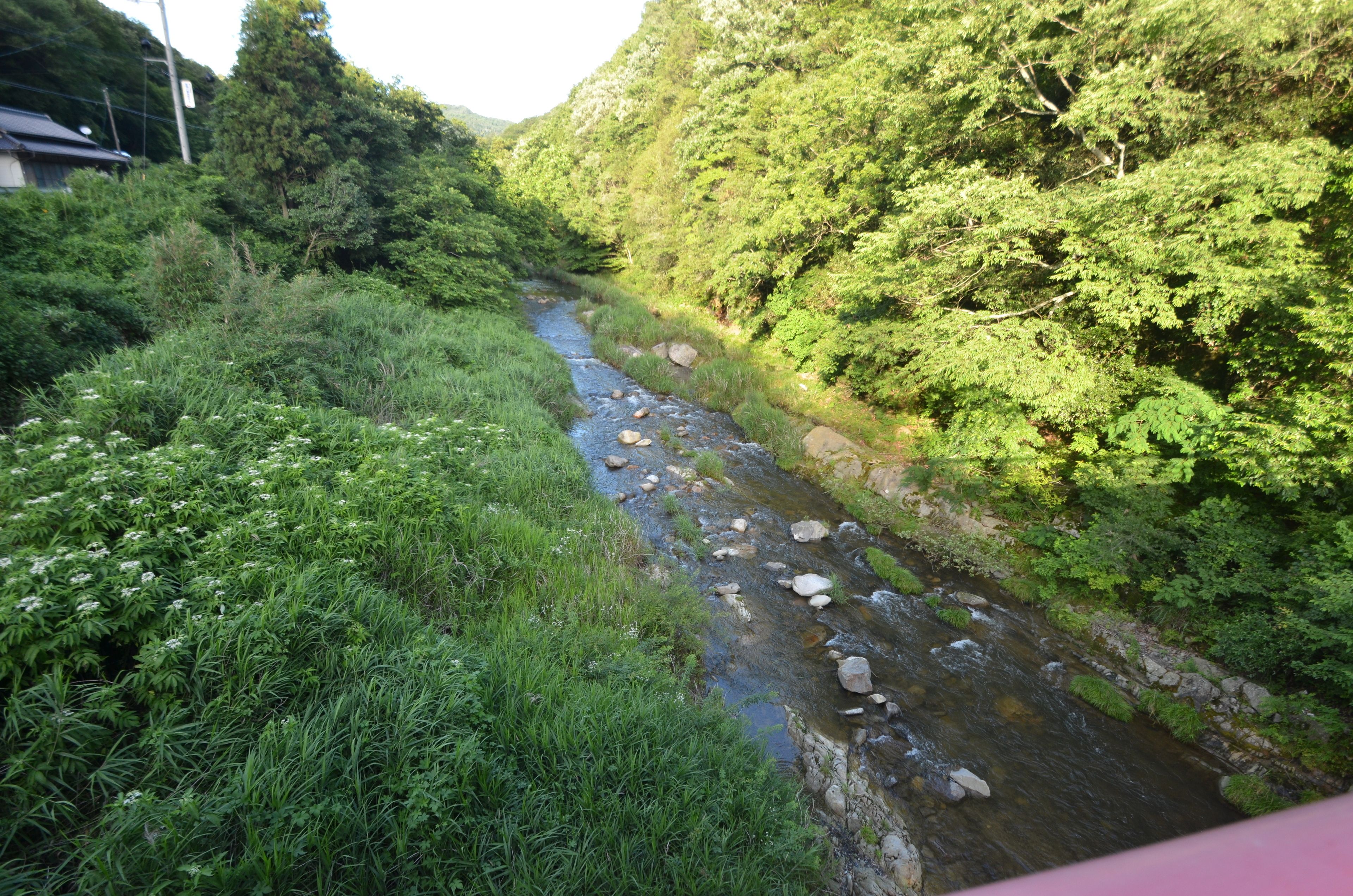 A river flowing through a lush, green landscape with dense vegetation on both sides.