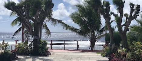 Beach/ocean view