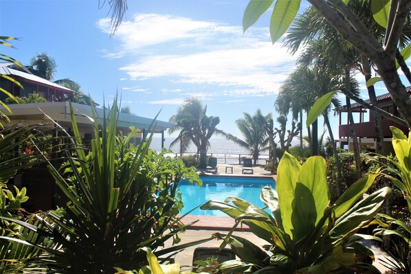 Alberca al aire libre y camastros