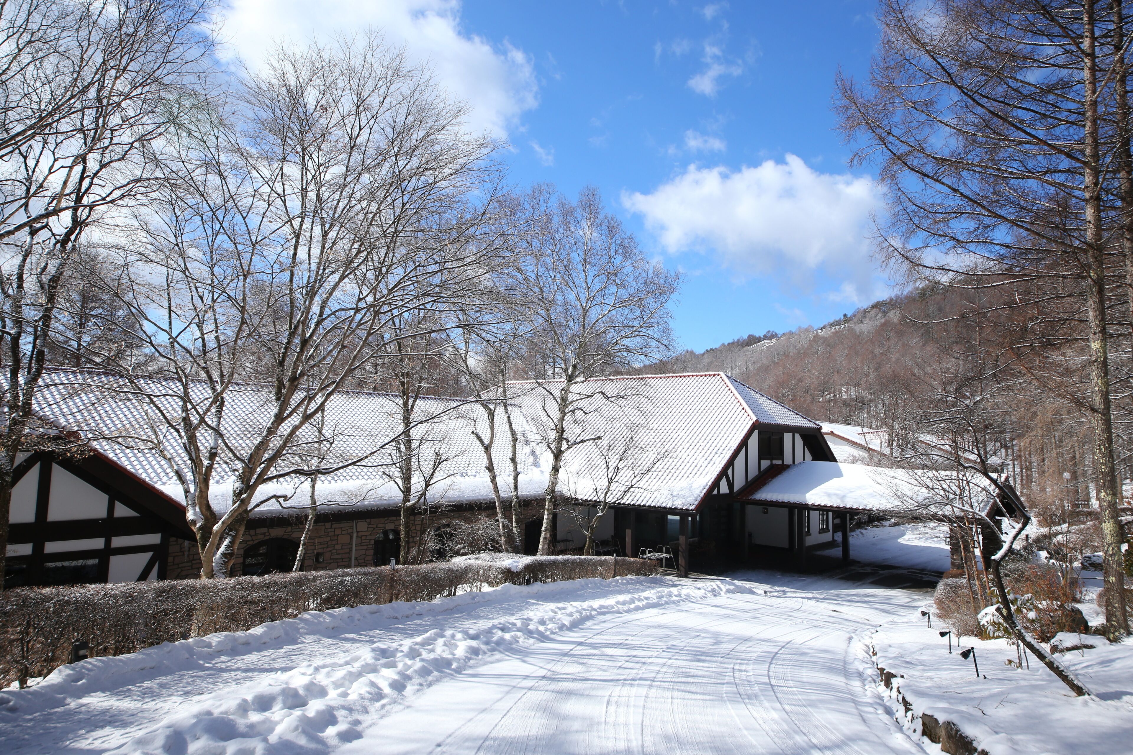 A traditional Japanese building with a snow-covered roof, surrounded by bare trees and a clear sky.