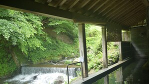 Un sendero de piedra que conduce a una cascada, rodeado de vegetación exuberante y una estructura de madera con techo.