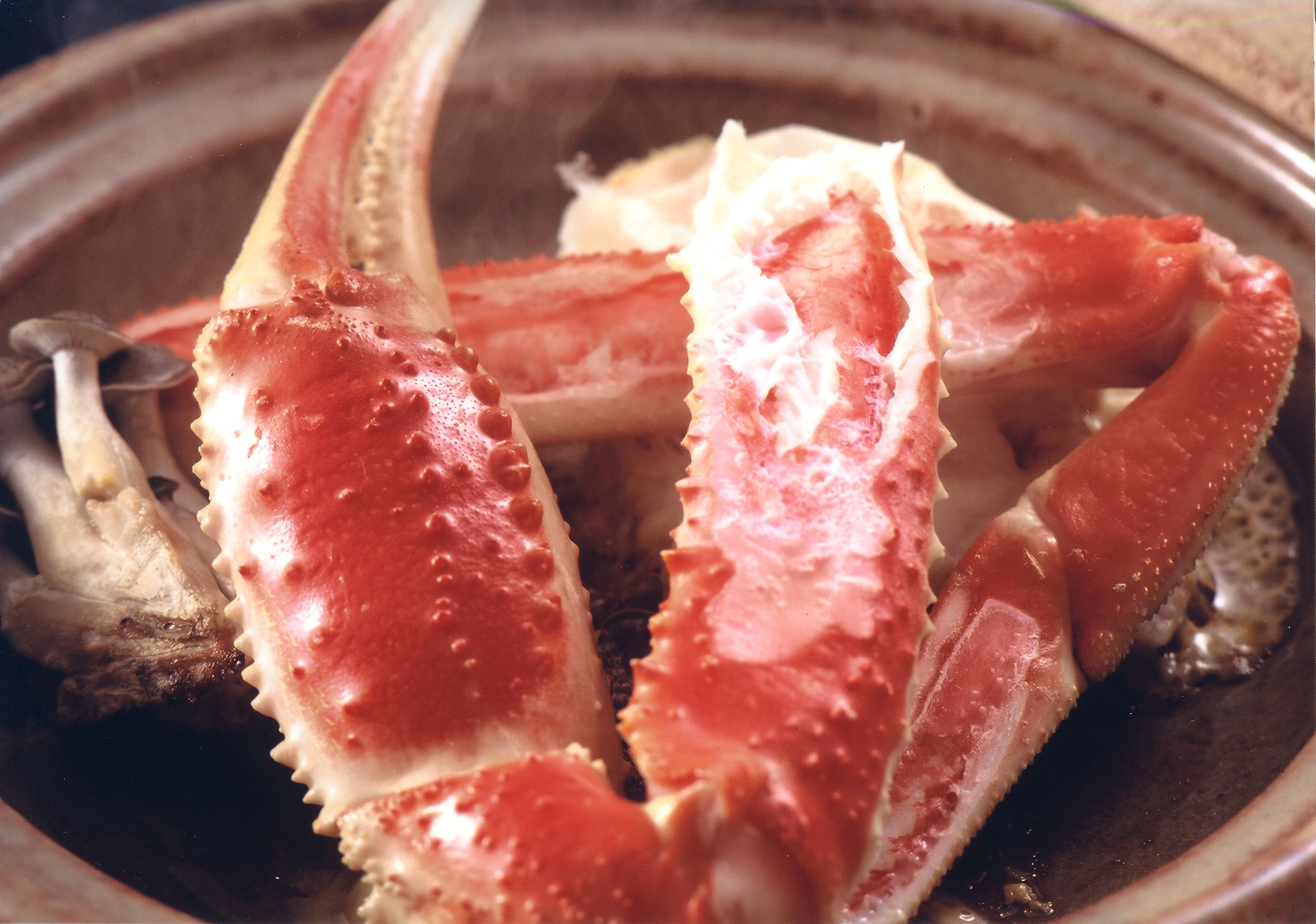 A close-up of a crab with red and white shell parts.