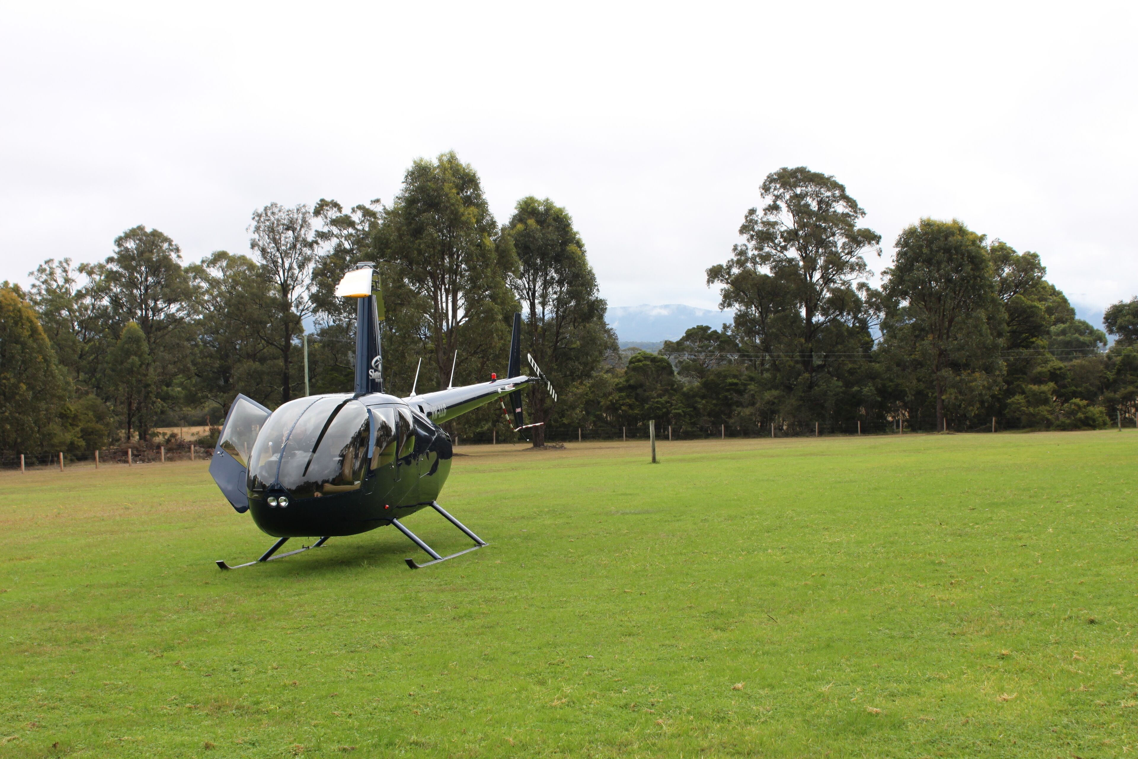 Ein geparkter Hubschrauber auf einer Wiese, im Hintergrund Bäume.