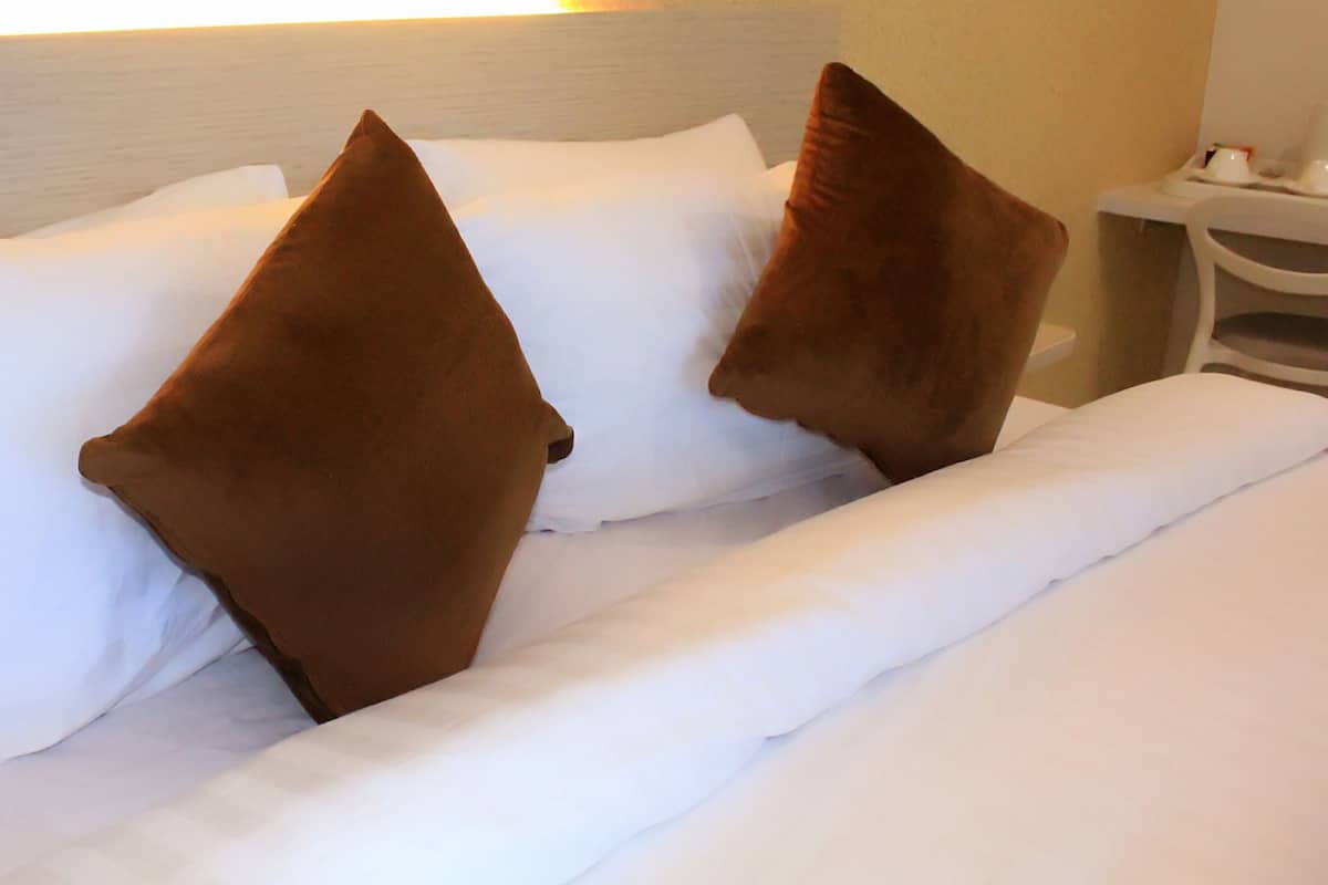 Suite junior | Minibar y wifi gratis