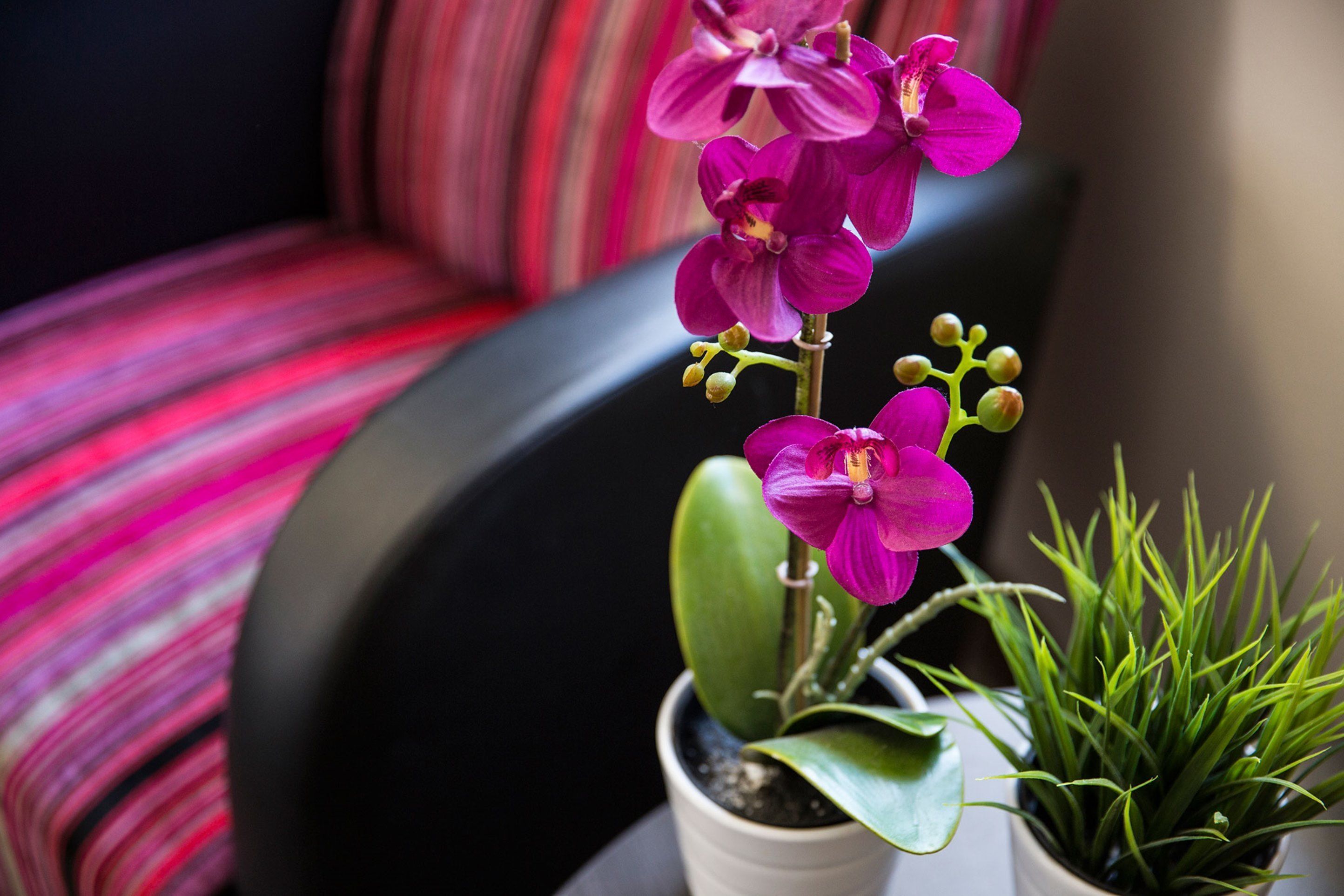 Foto - Toongabbie Hotel