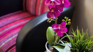 A potted orchid plant with a green succulent and a small green plant on a table.