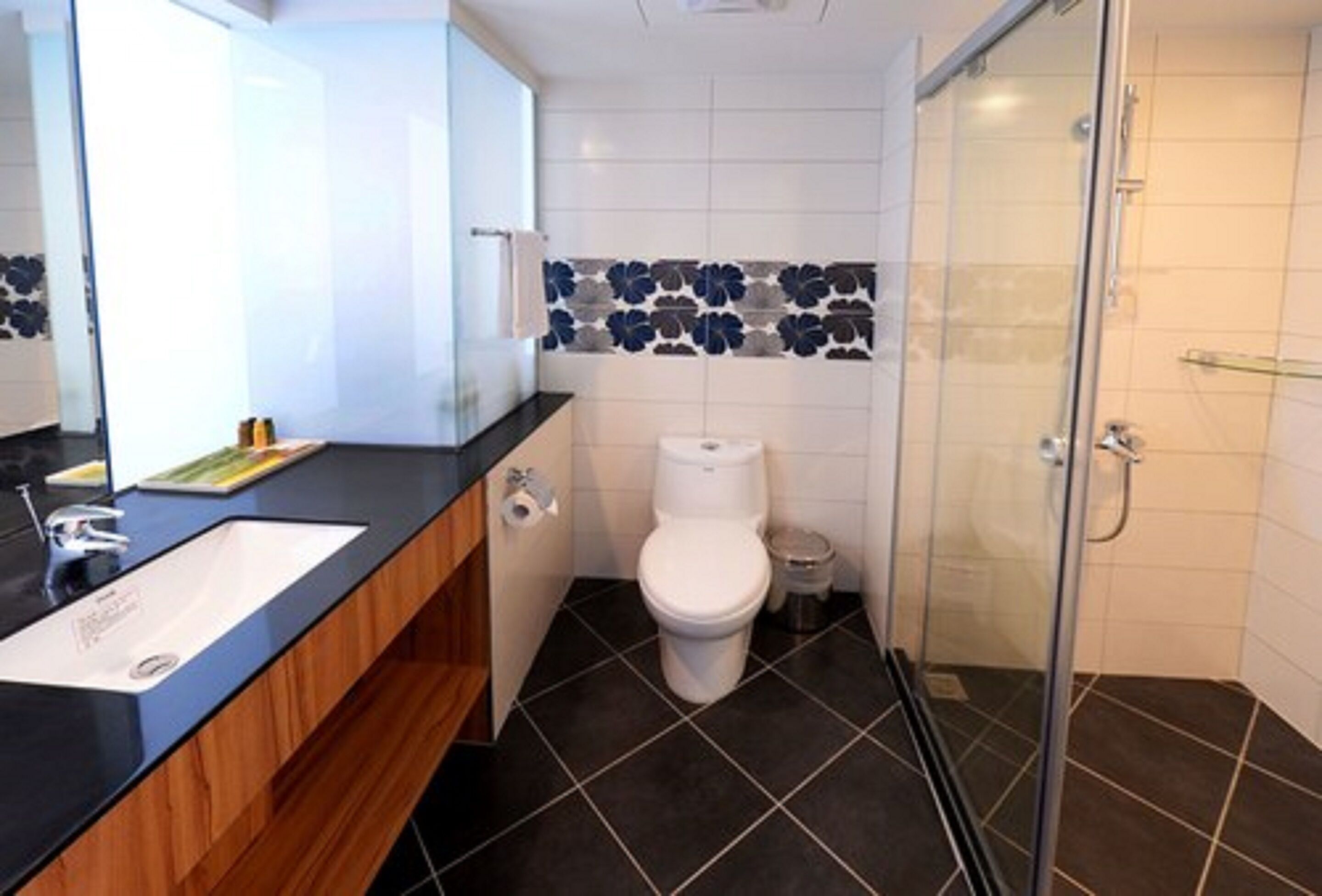 shower, free toiletries, hair dryer, slippers