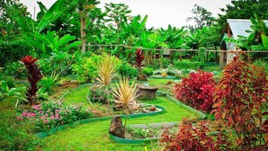 Garden - Banyan Tree Sanctuary (Kailua-Kona)