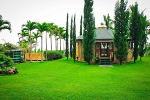 Property grounds - Banyan Tree Sanctuary (Kailua-Kona)