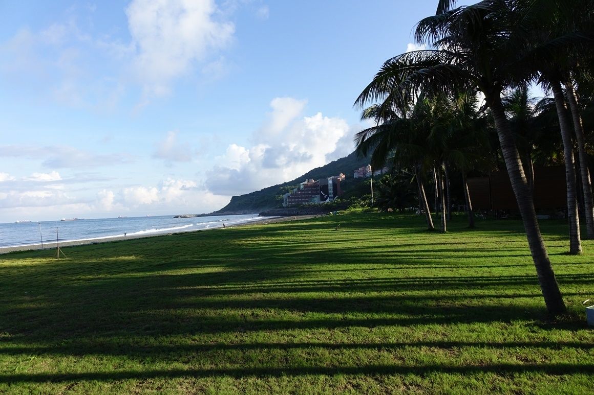 A grassy area with palm trees, a beach, and buildings in the background.