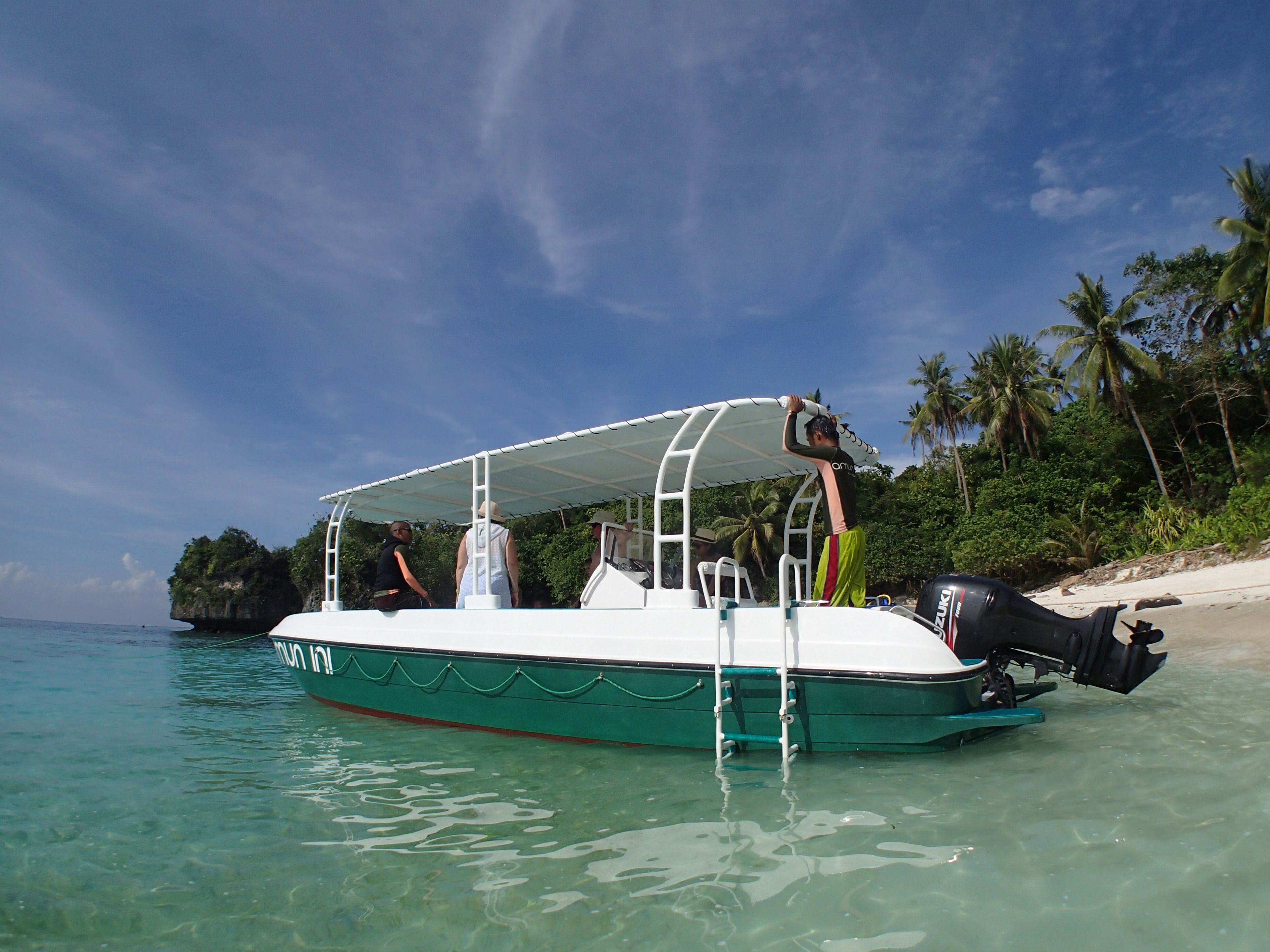 A boat with a covered deck, a ladder, and a motor at the back.