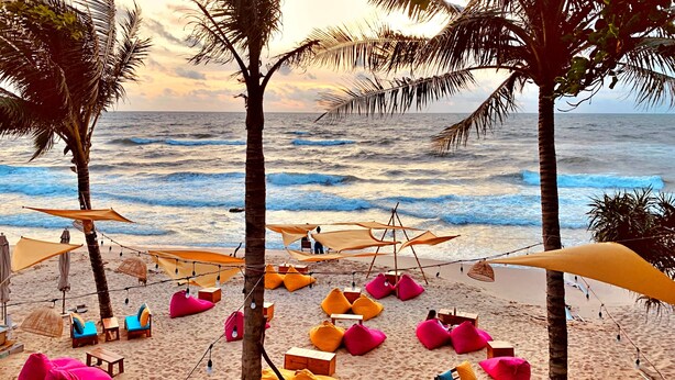 A beach with lounge chairs and umbrellas, palm trees, and the ocean.