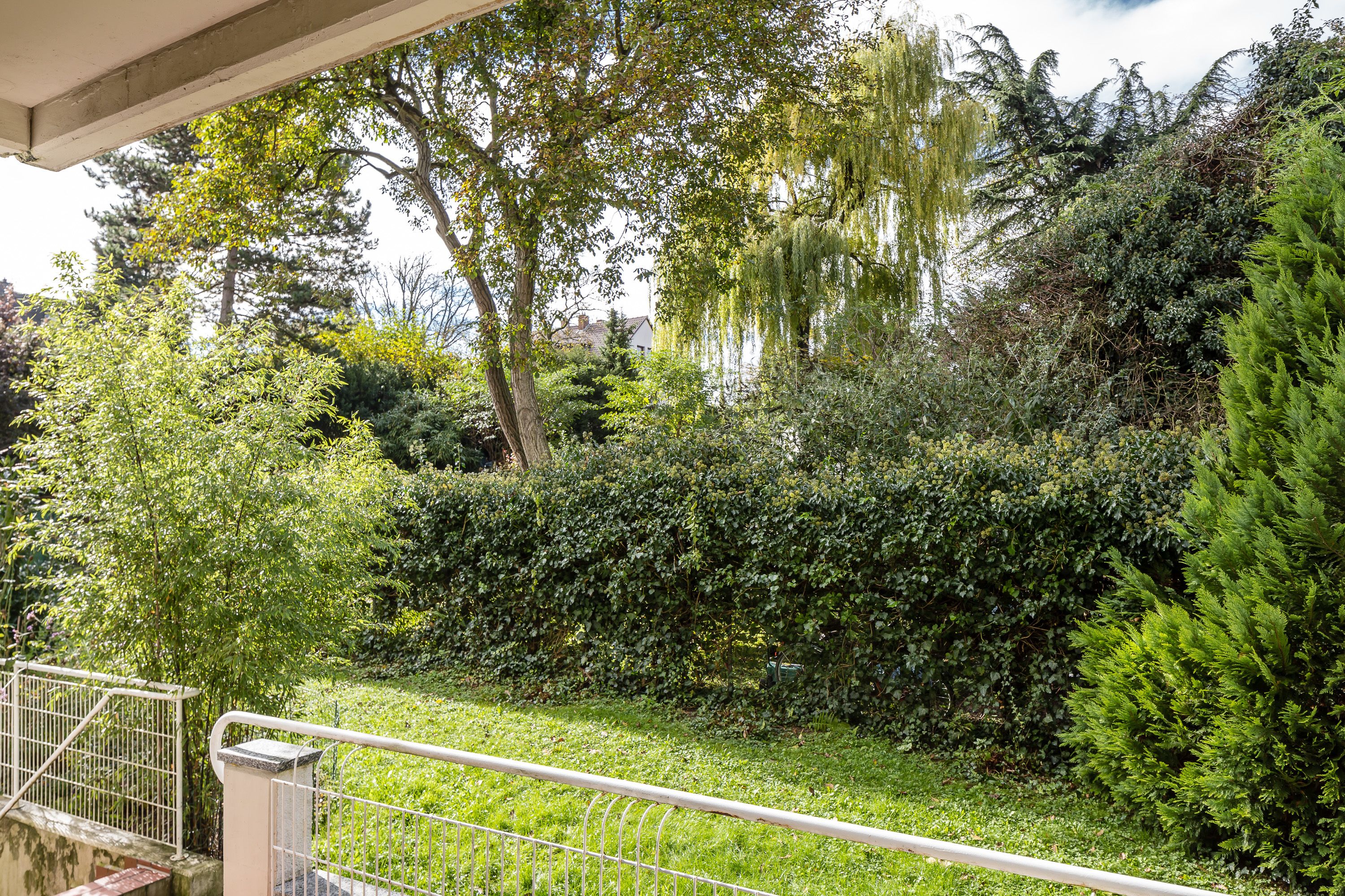 A lush garden with various trees and shrubs, a metal railing, and a concrete wall.
