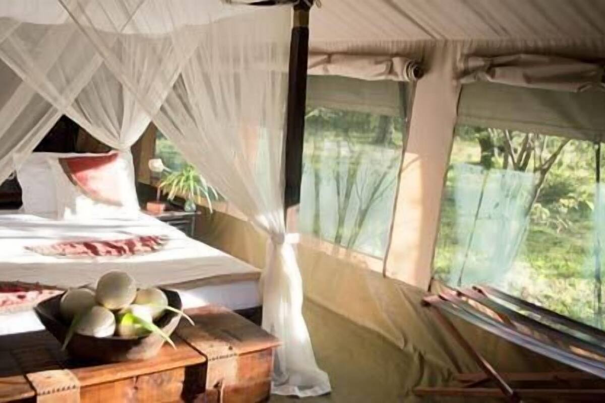 A tented room with a bed, a wooden table with a bowl of fruit, and a window with a view of greenery.