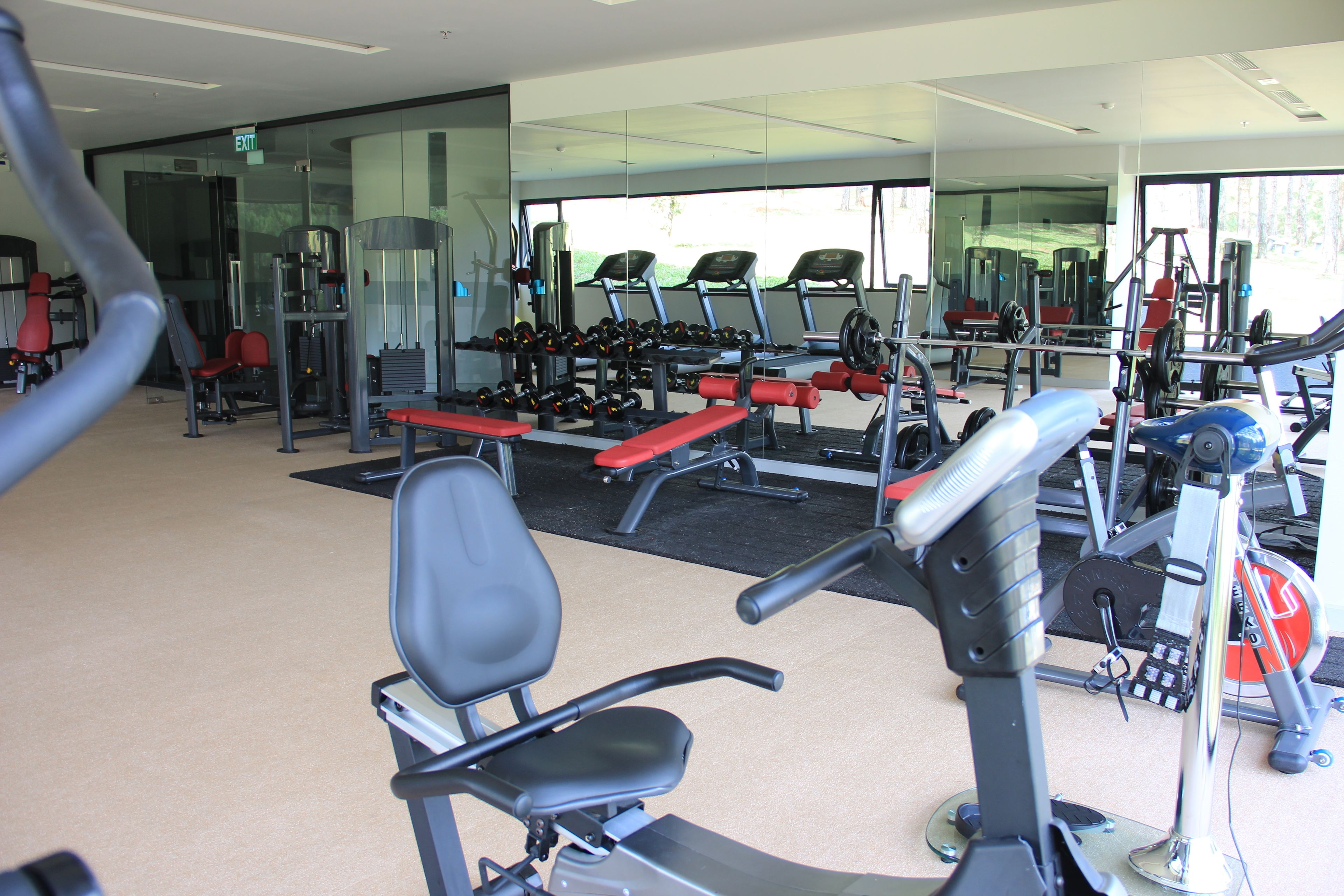 A gym with exercise equipment, including treadmills, dumbbells, and weight machines.