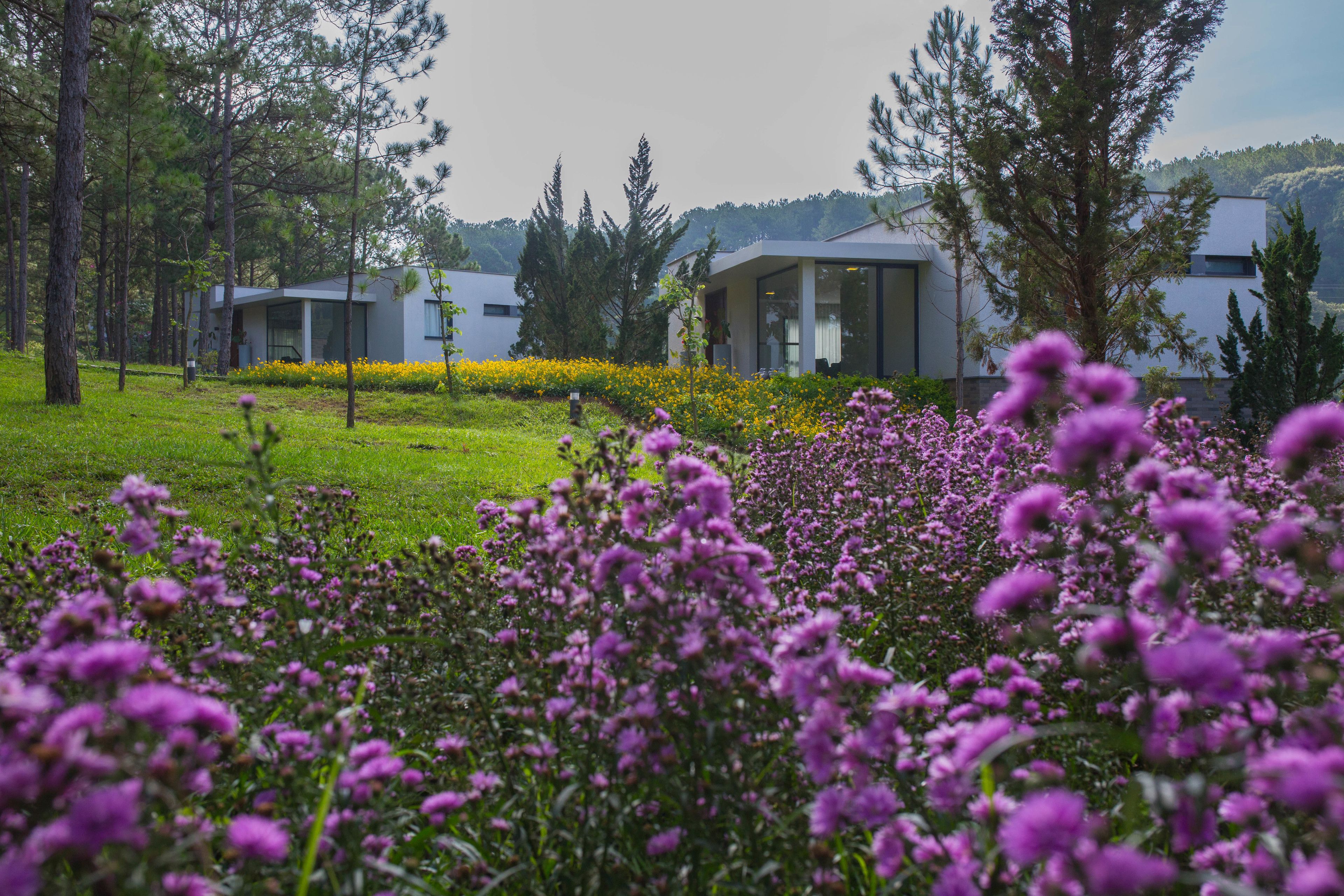 A modern building with a glass facade surrounded by a lush garden with purple flowers.