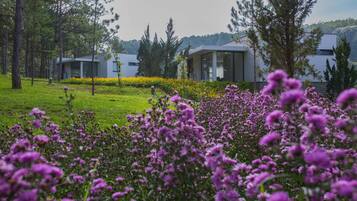 A modern building with a glass facade surrounded by a lush garden with purple flowers.