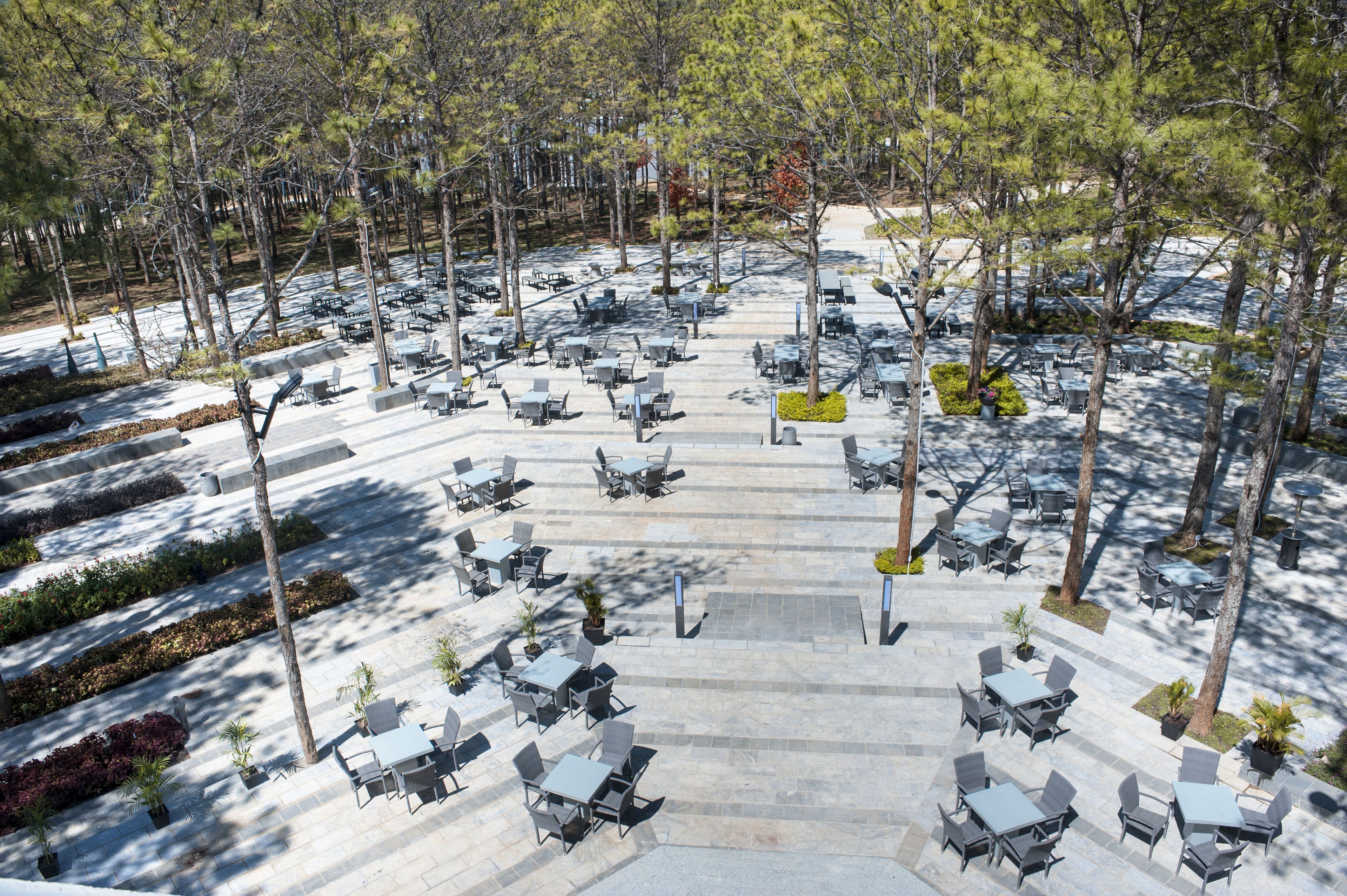 An outdoor patio area with multiple tables and chairs arranged in rows, surrounded by trees.