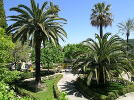 A landscaped garden with palm trees and a paved pathway.