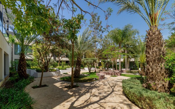A courtyard with palm trees, a pathway, and modern buildings in the background.