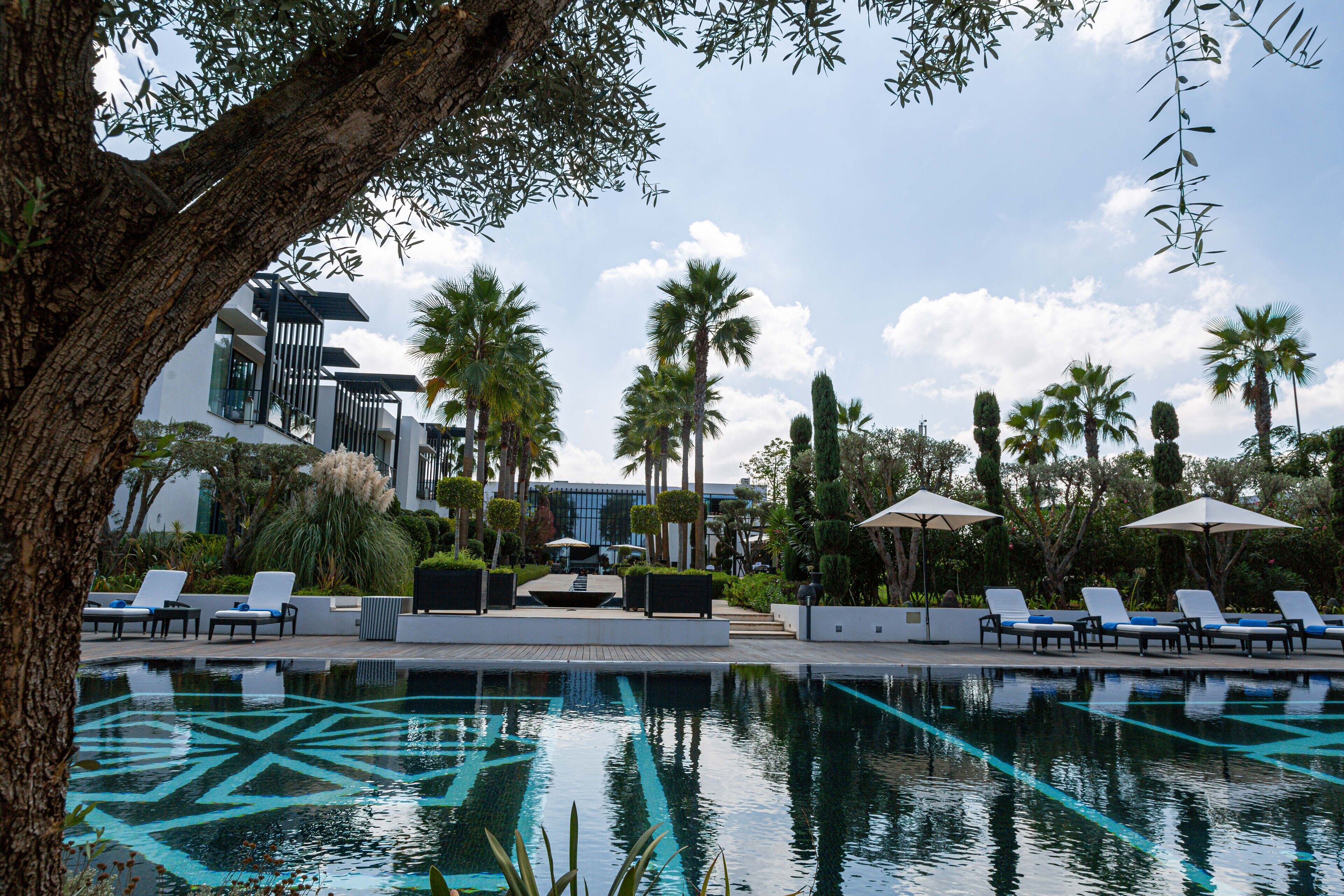 Outdoor pool, pool loungers