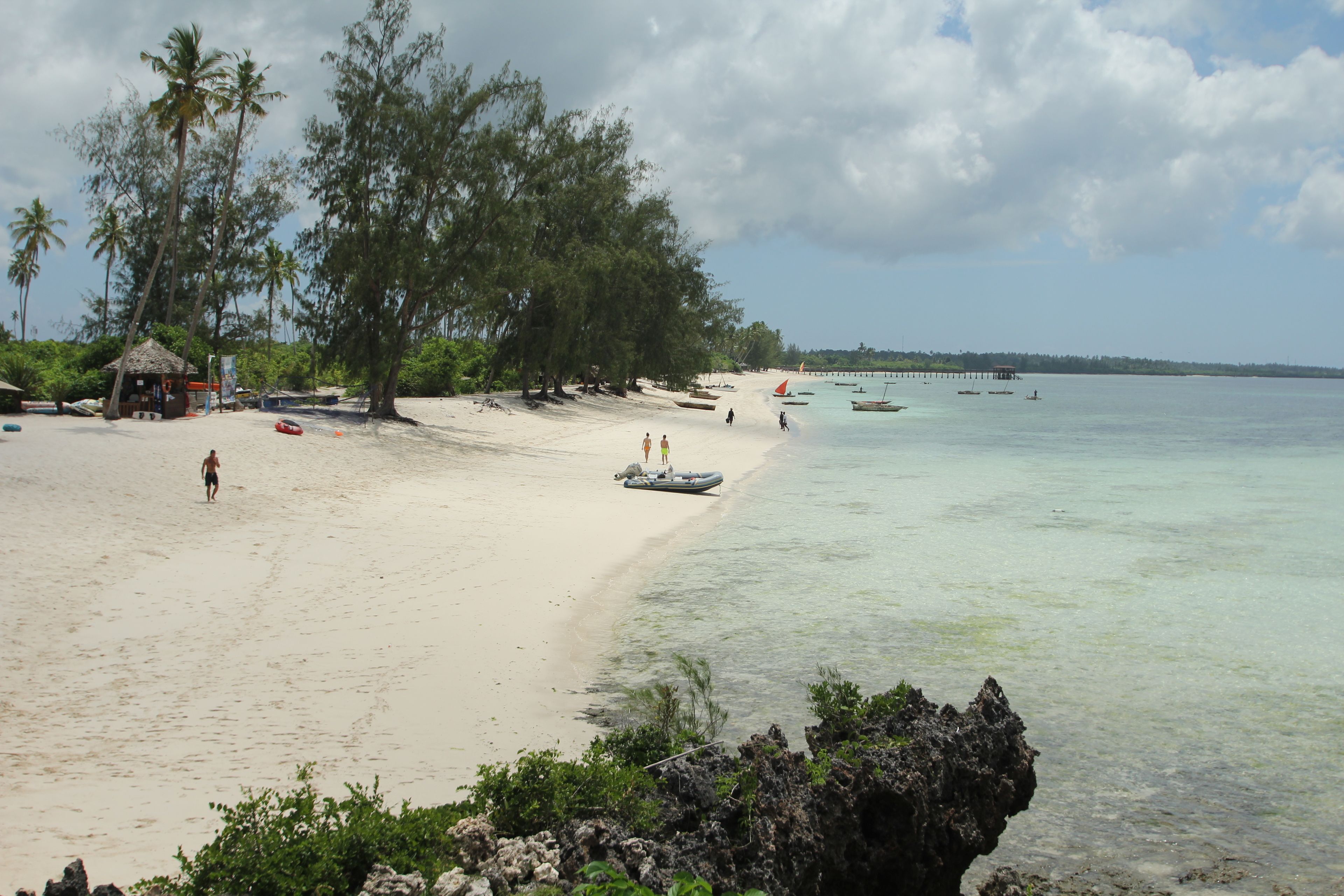 Une plage avec une eau cristalline, des palmiers et une petite cabane.