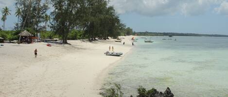Une plage avec une eau cristalline, des palmiers et une petite cabane.