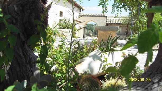 Un patio rústico con un edificio blanco, un arco de piedra y diversas plantas.