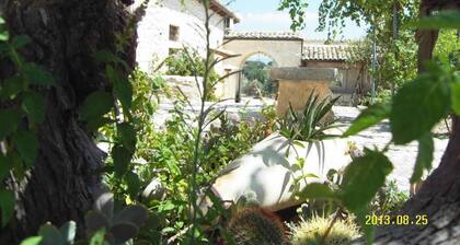 Le due Palme - Il Paradiso di Adamo