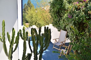 Un jardin de cactus avec une chaise et une vue sur la mer.