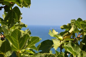 Exterior - Blue Island Villa Caterina (Casteldaccia)