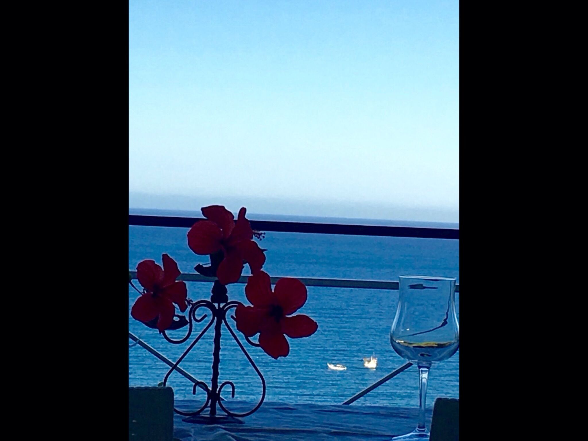 Un tavolo con un vaso di fiori rossi e un bicchiere da vino, con vista sul mare.