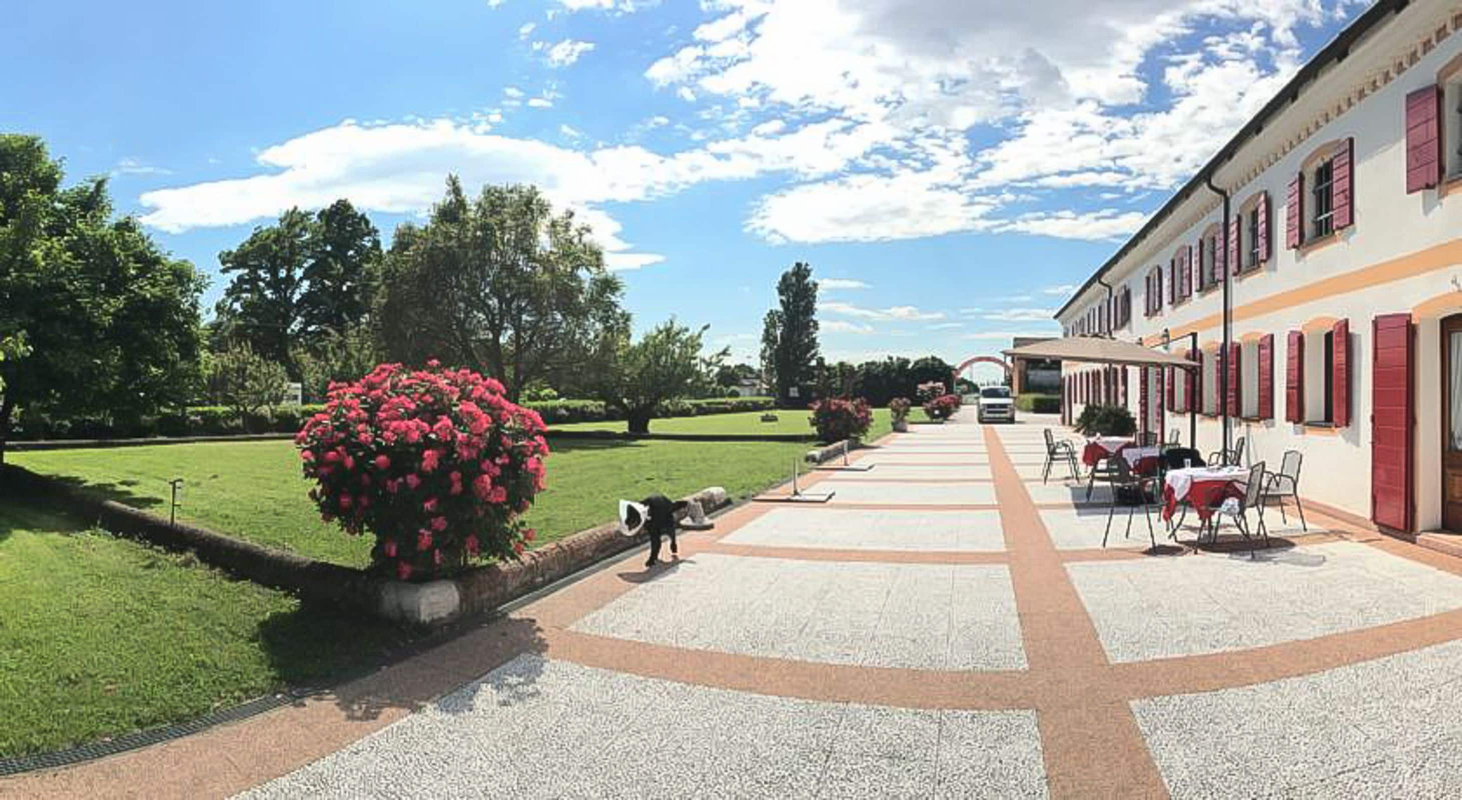 Un patio con un camino empedrado, un arbusto grande con flores y un edificio con contraventanas rojas y una mesa lista para comer.