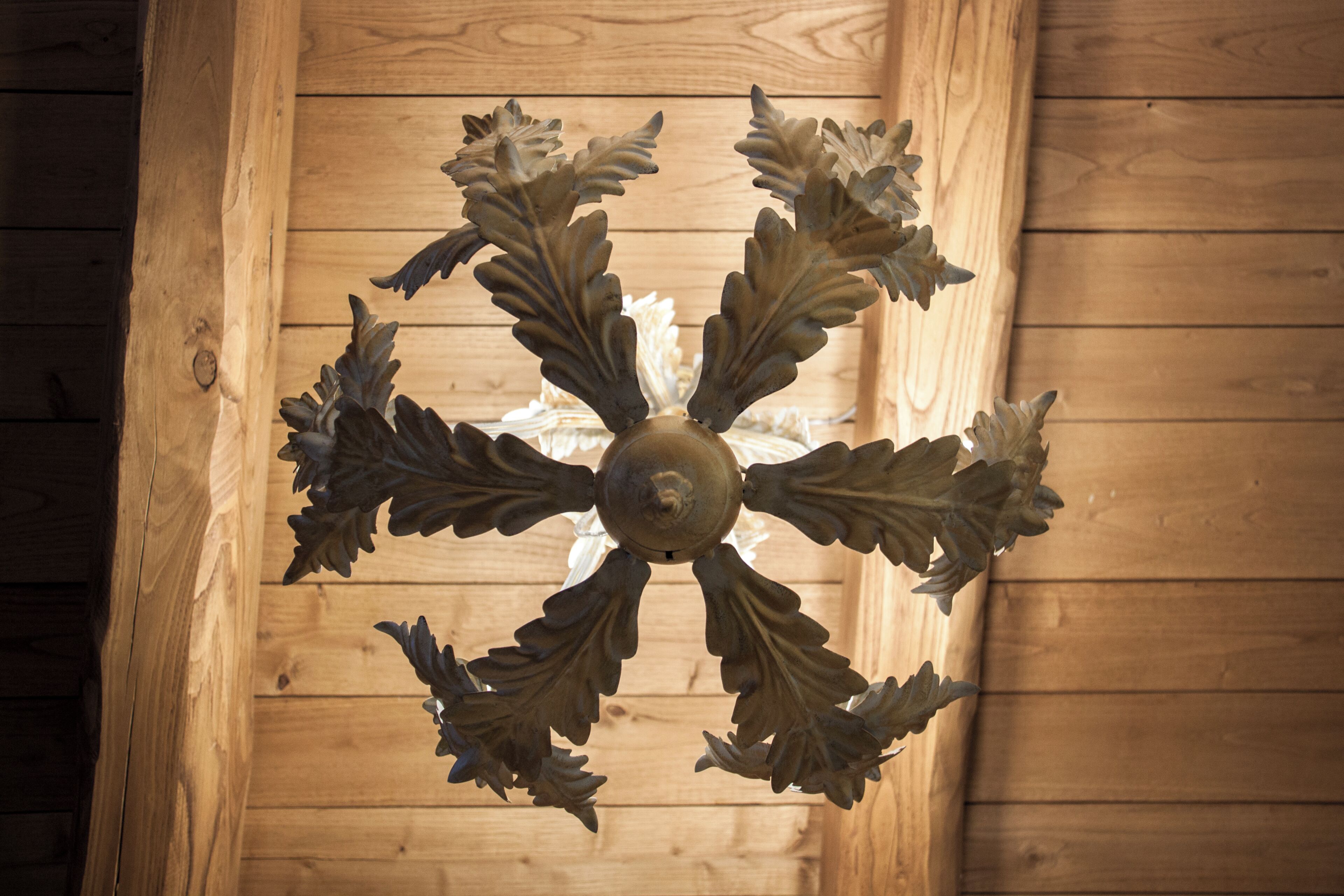Ein Deckenventilator mit einer zentralen Leuchte, umgeben von vier blattformigen Flügeln, vor einem Holzboden.