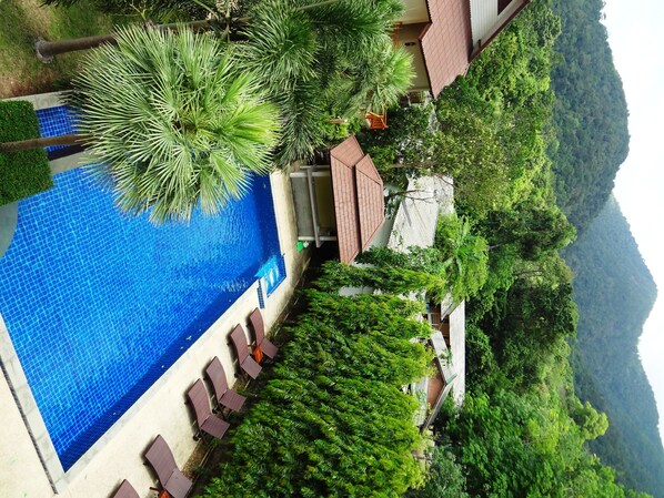 Outdoor pool - Paddy's Palms Resort (Ko Chang)