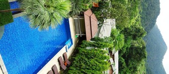 Paddy's Palms Resort