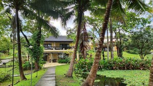 Un complexe hôtelier tropical avec un sentier menant à un bâtiment, entouré de palmiers et d’un petit étang.