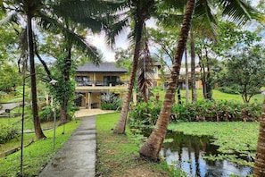 Un resort tropical con un camino que lleva a un edificio, rodeado de palmeras y un pequeño estanque.